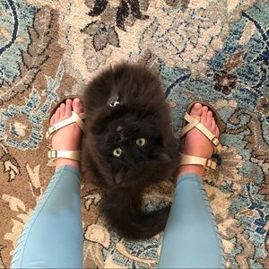 Meet your Posher, Destiny